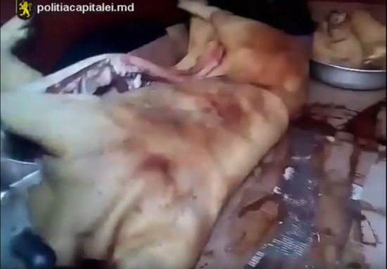 На Центральном рынке торговали просроченной свининой svinina.jpg