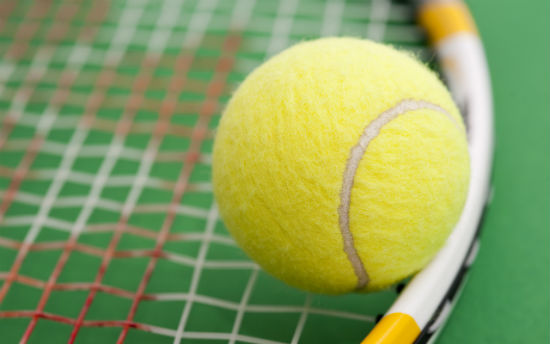 rabstol_net_tennis_attribute_11.jpg