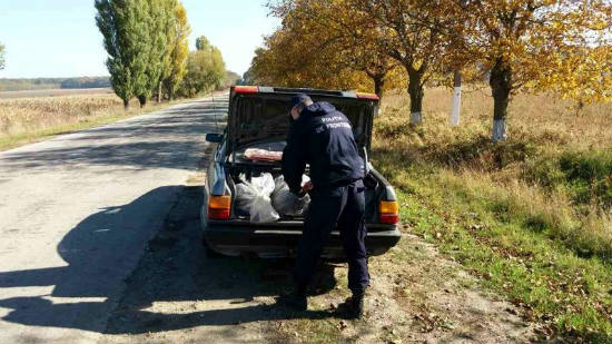 8-8_kuv.jpg