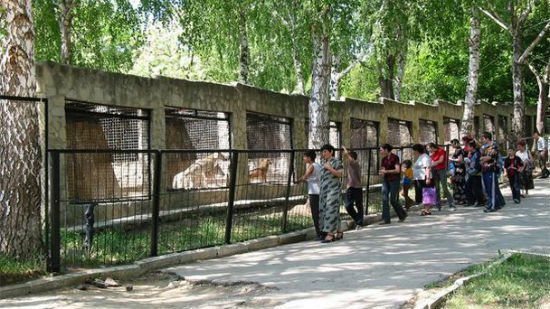 kishinvskiy-zoopark.jpg
