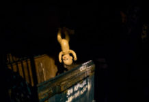 В Ирландии могут легализовать аборты, на очереди — эвтаназия