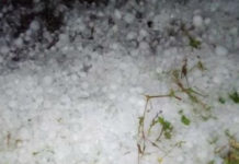 В Кемерово выпал снег