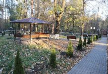 У Муниципальной клинической больницы «Святая Троица» появилась зеленая зона