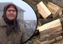 Жители сел Фалештского района все еще ждут дрова по субсидированной цене