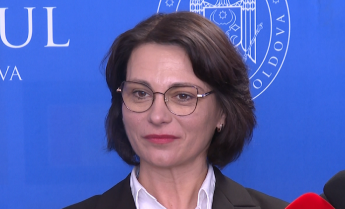 daniela-misail-nichitin