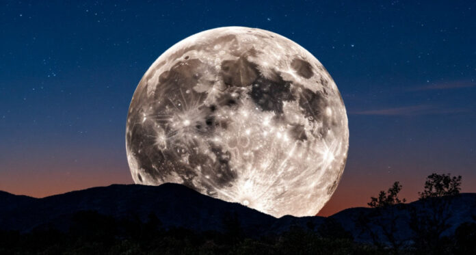 image-1751966795_067