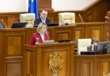 Ольга Чеботарь предложила создать специальную парламентскую комиссию по реинтеграции страны