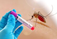 В Румынии выявили первый случай опасного вируса чикунгунья
