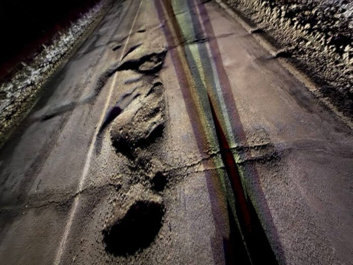 photo_2026-02-01_20-03-26