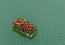 Новак: Конфликт на Днестре стал тяжёлым испытанием для Молдовы