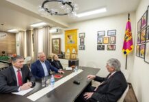 Додон и Гречаный обсудили сотрудничество с послом Венгрии