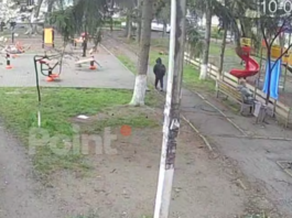 (видео) Стая собак напала на школьника в Кишинёве: Ребёнка спасла случайная прохожая