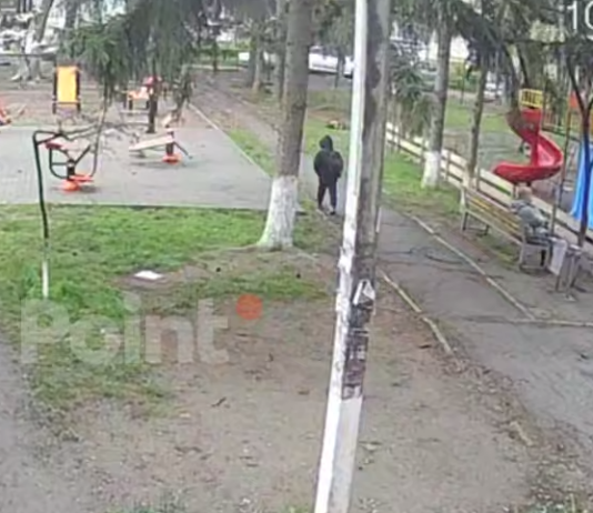 (видео) Стая собак напала на школьника в Кишинёве: Ребёнка спасла случайная прохожая