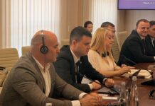 Войку принял участие в совместном заседании с членами Венецианской комиссии