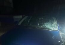 «Сбил собаку»: таксист пытался скрыть смертельный наезд на пешехода